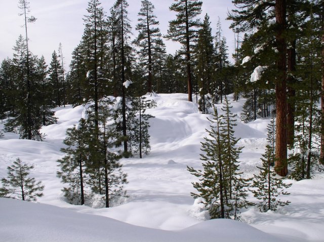 Sunriver Jan 06a 089 